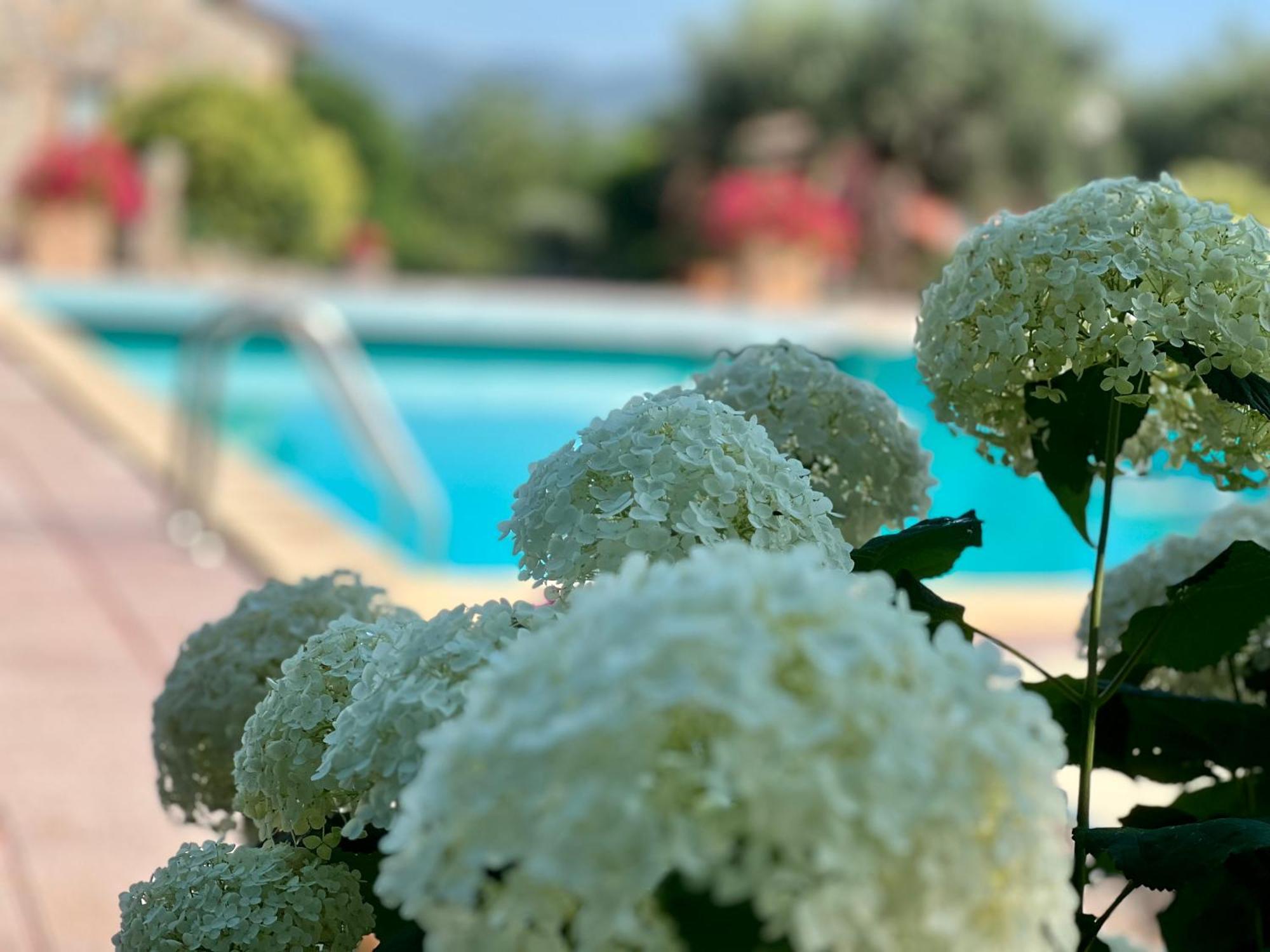 Le Case Di Lisetta Holiday Homes コルチャーノ エクステリア 写真