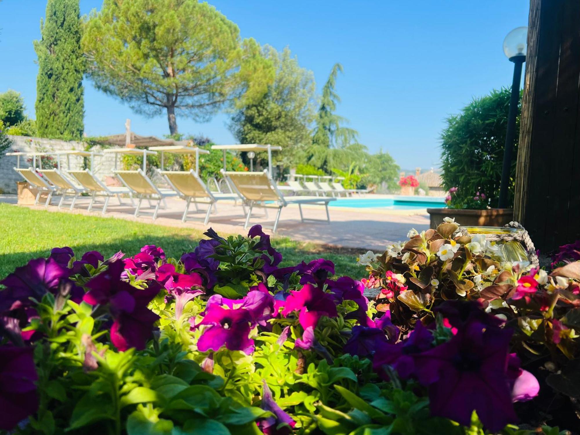 Le Case Di Lisetta Holiday Homes コルチャーノ エクステリア 写真