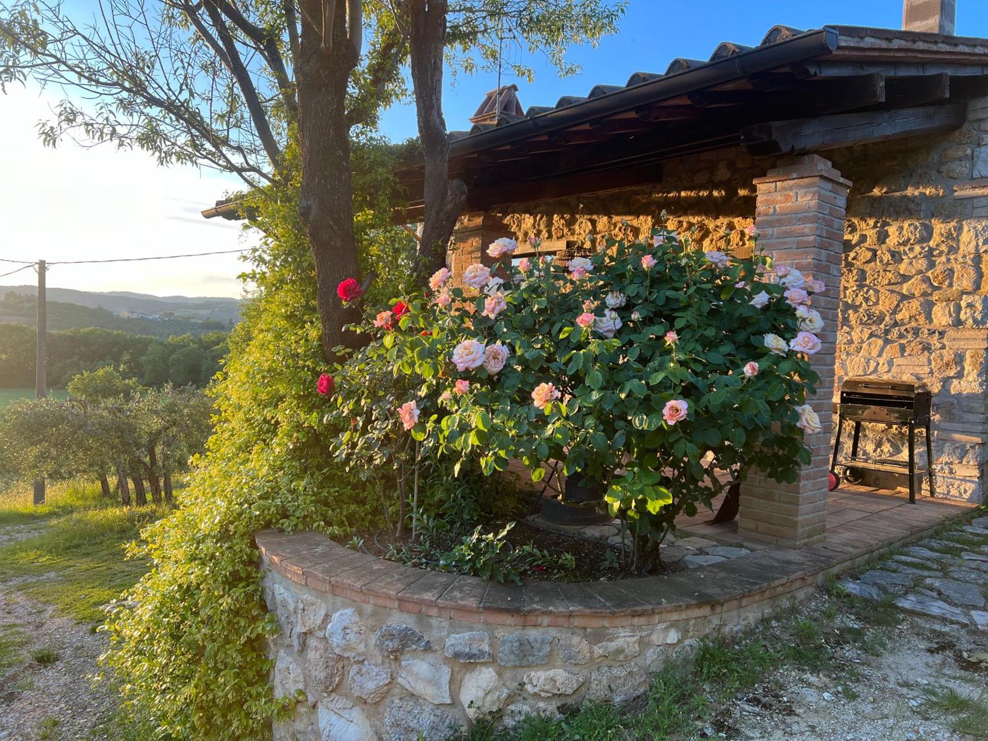 Le Case Di Lisetta Holiday Homes コルチャーノ エクステリア 写真