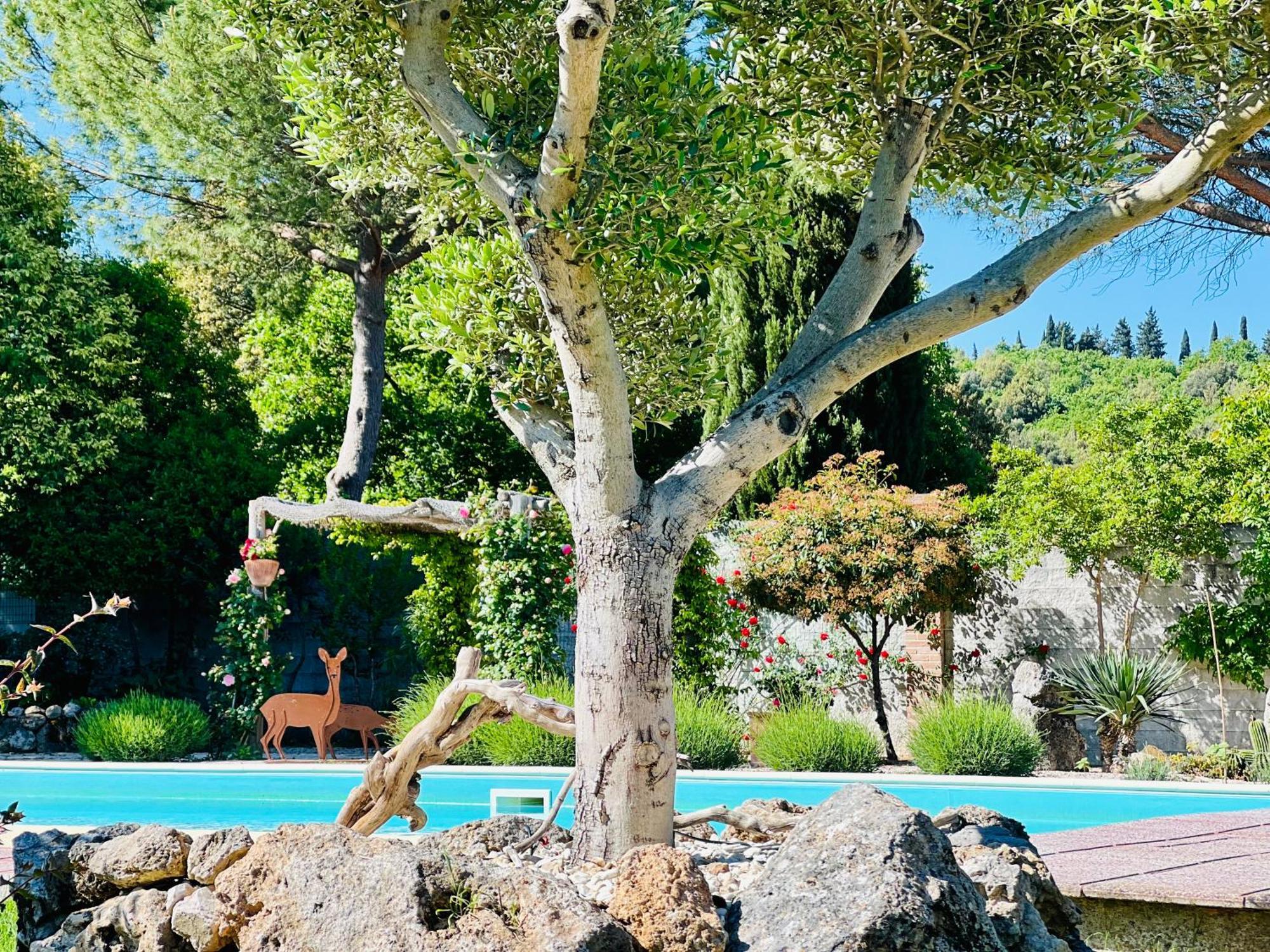 Le Case Di Lisetta Holiday Homes コルチャーノ エクステリア 写真