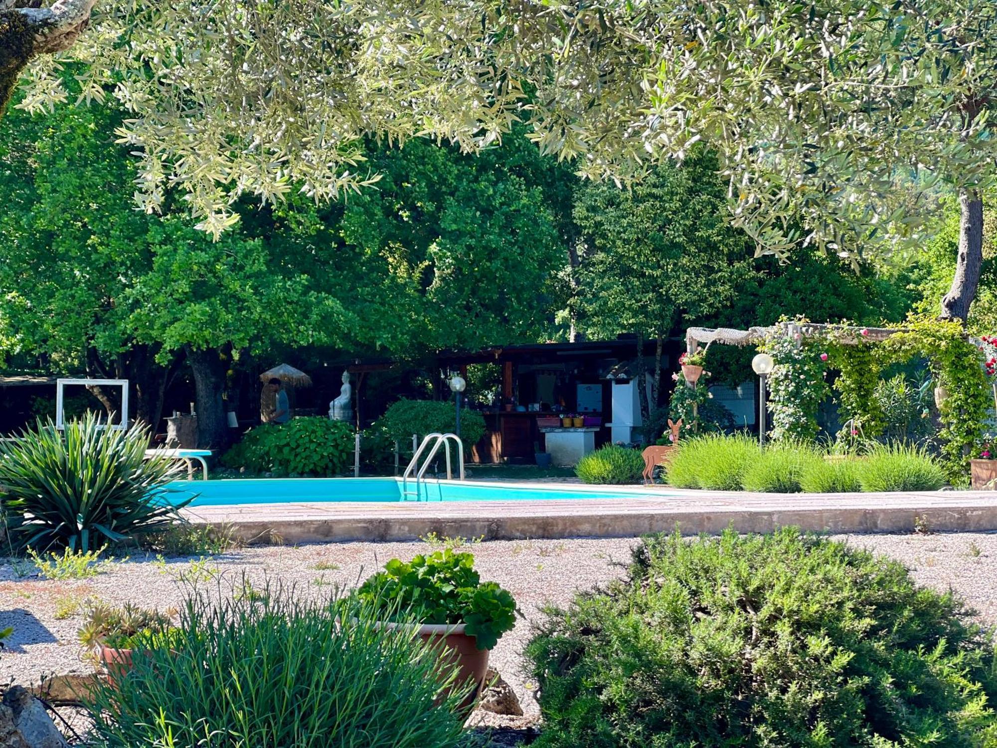 Le Case Di Lisetta Holiday Homes コルチャーノ エクステリア 写真