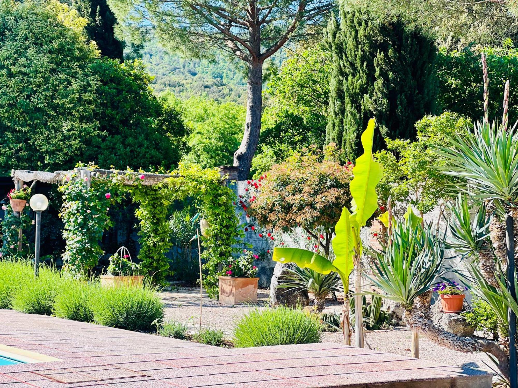 Le Case Di Lisetta Holiday Homes コルチャーノ エクステリア 写真