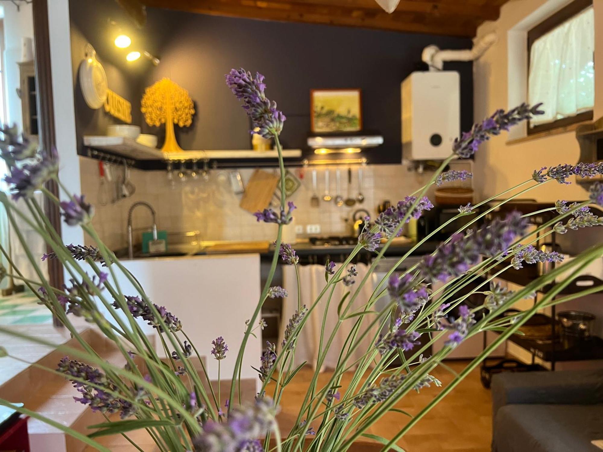 Le Case Di Lisetta Holiday Homes コルチャーノ エクステリア 写真