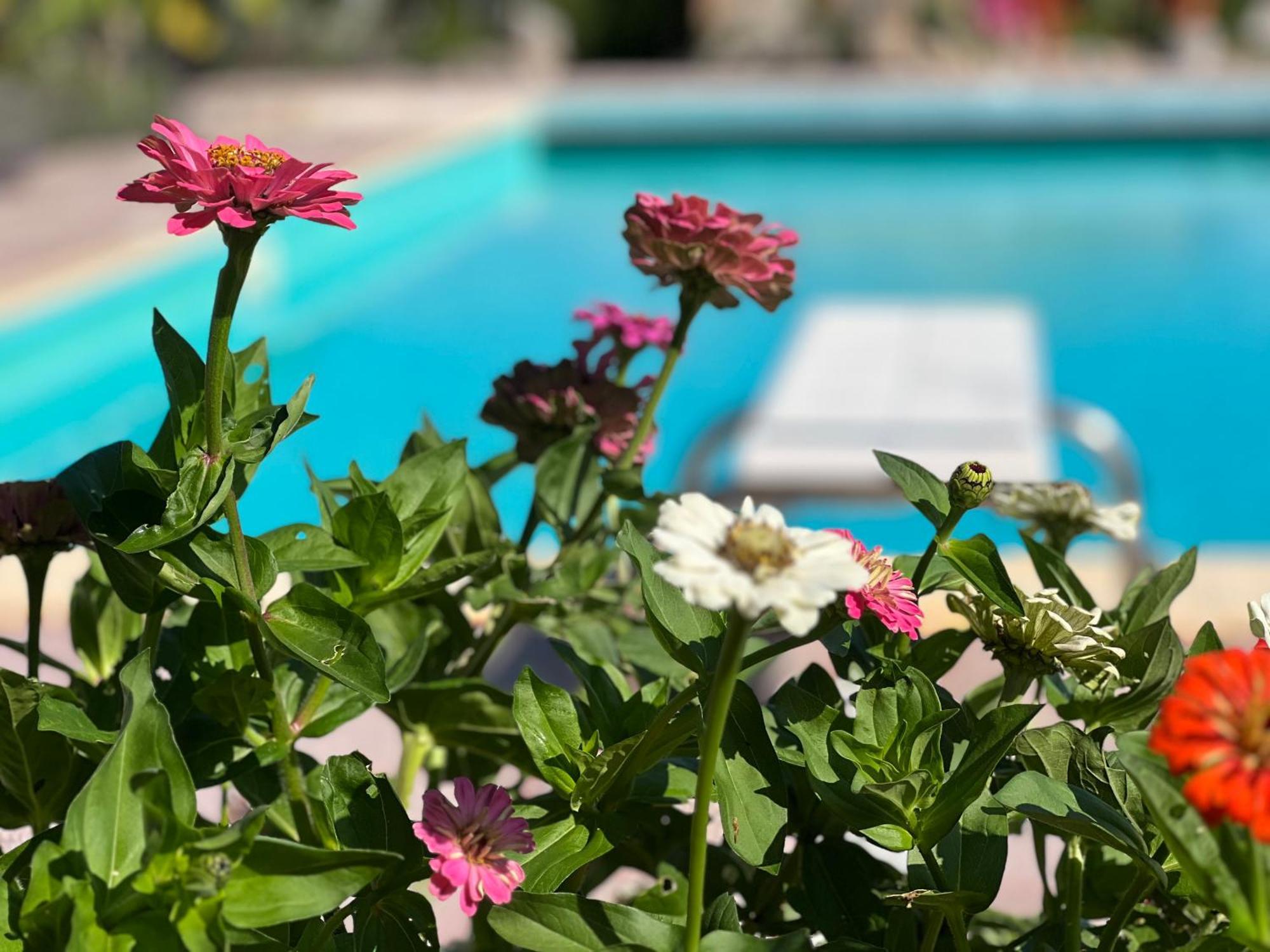 Le Case Di Lisetta Holiday Homes コルチャーノ エクステリア 写真