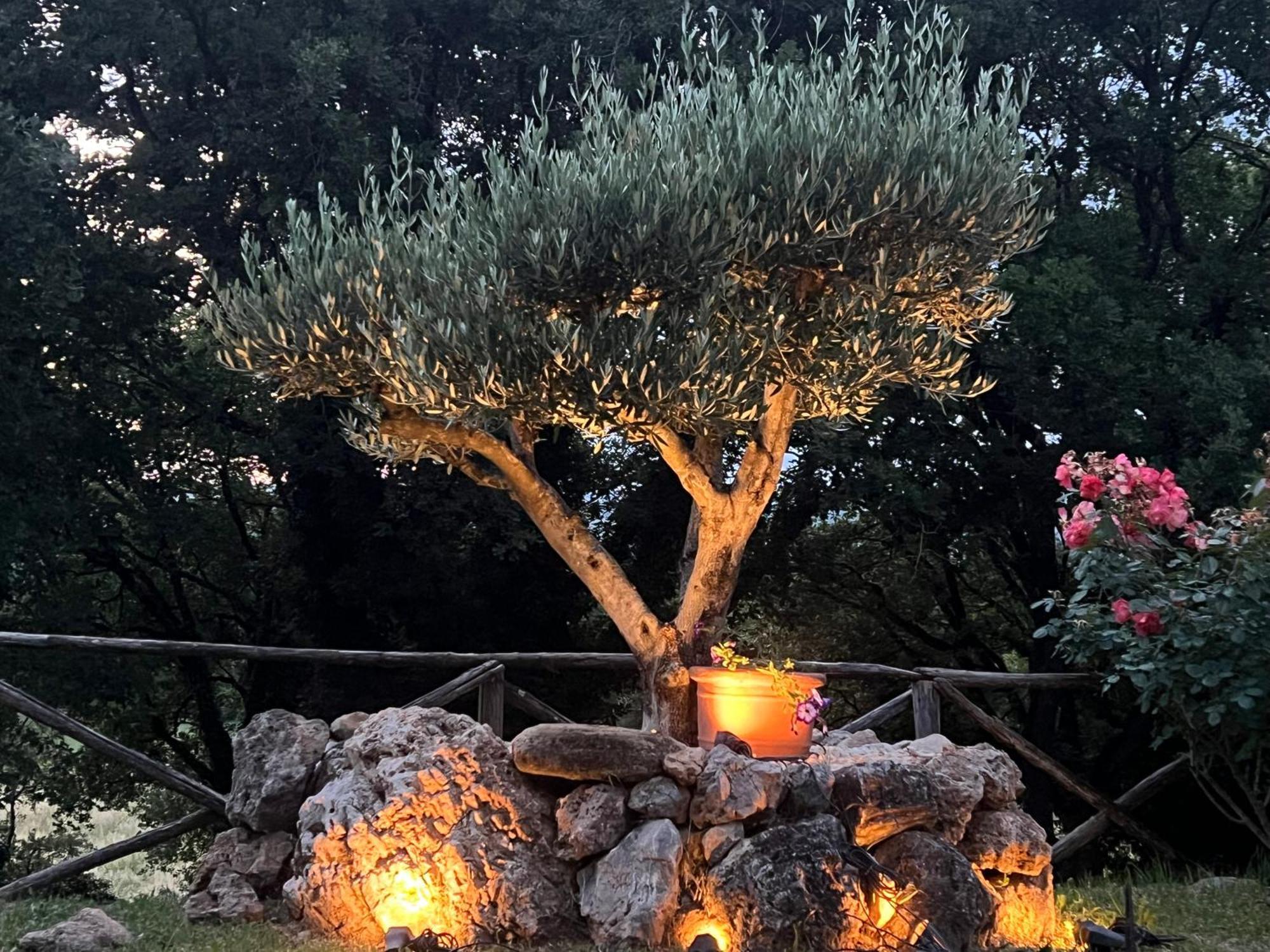 Le Case Di Lisetta Holiday Homes コルチャーノ エクステリア 写真